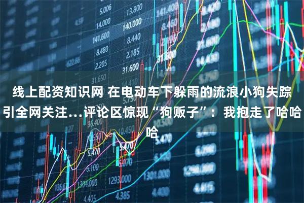 线上配资知识网 在电动车下躲雨的流浪小狗失踪引全网关注…评论区惊现“狗贩子”：我抱走了哈哈