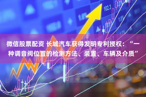 微信股票配资 长城汽车获得发明专利授权：“一种调音阀位置的检测方法、装置、车辆及介质”